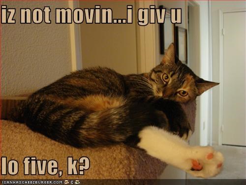 iz not movin...i giv u  lo five, k?