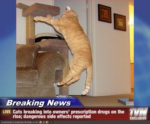 Breaking News - Cats breaking into owners' prescription drugs on the rise; dangerous side effects reported