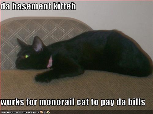 da basement kitteh  wurks for monorail cat to pay da bills