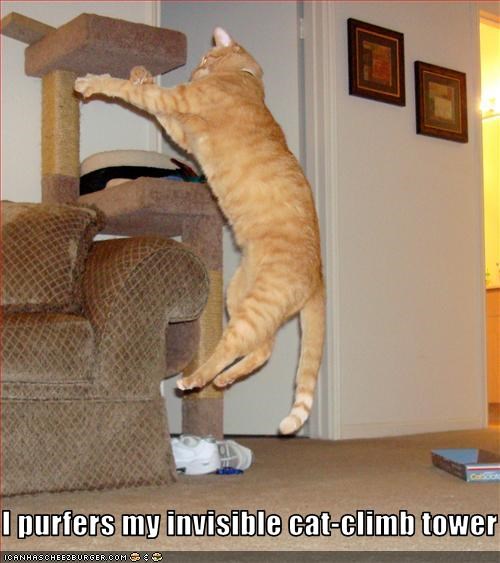I purfers my invisible cat-climb tower