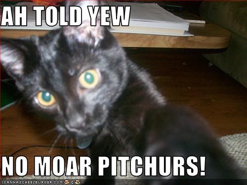 AH TOLD YEW  NO MOAR PITCHURS!