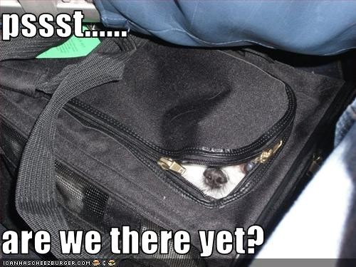 pssst......  are we there yet?