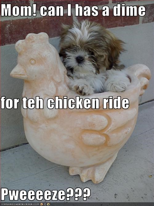 Mom! can I has a dime  for teh chicken ride Pweeeeze???