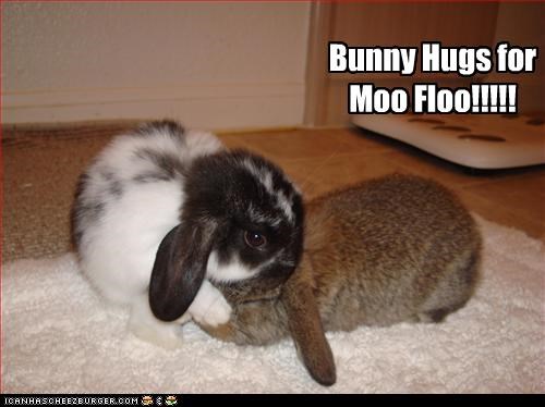 Bunny Hugs for Moo Floo!!!!!