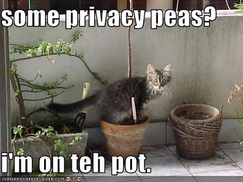 some privacy peas?  i'm on teh pot.