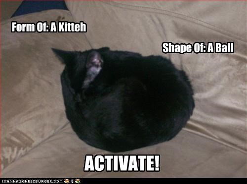 Form Of: A Kitteh