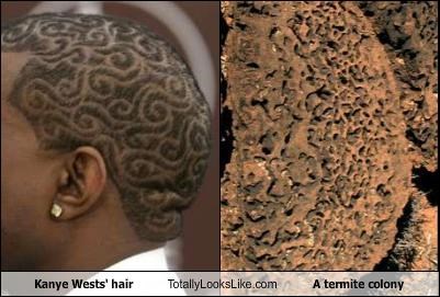 Kanye Wests' hair Totally Looks Like A termite colony