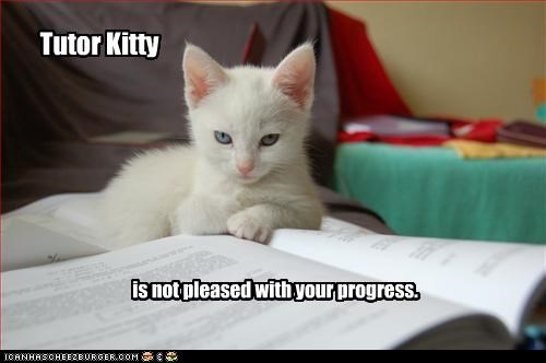 Tutor Kitty