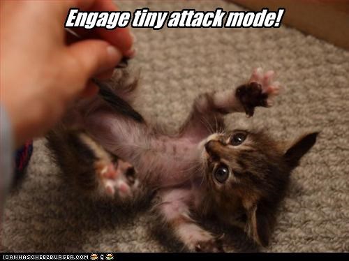 Engage tiny attack mode!