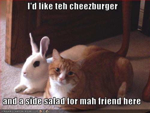 I'd like teh cheezburger  and a side salad for mah friend here