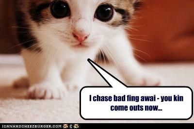 I chase bad fing awai - you kin come outs now...