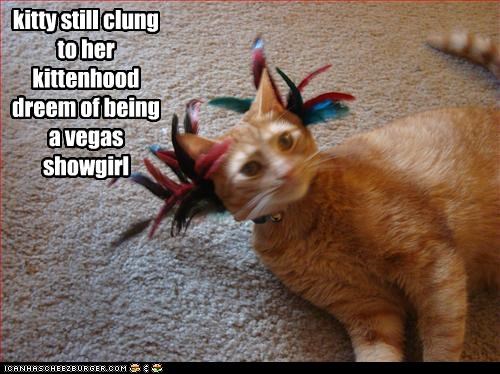 kitty still clung to her kittenhood dreem of being a vegas showgirl