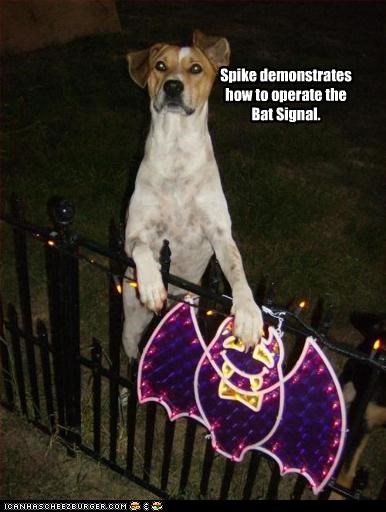 Spike demonstrates  how to operate the Bat Signal.