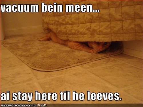 vacuum bein meen...  ai stay here til he leeves.