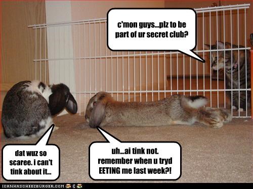 c'mon guys...plz to be part of ur secret club?