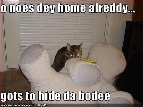 o noes dey home alreddy...  gots to hide da bodee