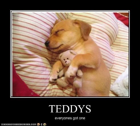 TEDDYS