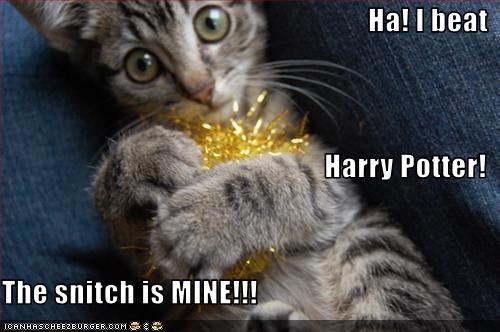 Ha! I beat  Harry Potter! The snitch is MINE!!!