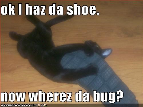 ok I haz da shoe.  now wherez da bug?