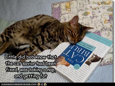 Little did bob know that the cat savior had been fixed, was taking a nap, and getting fat