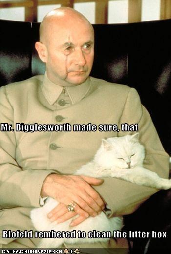 Mr. Bigglesworth made sure, that  Blofeld rembered to clean the litter box