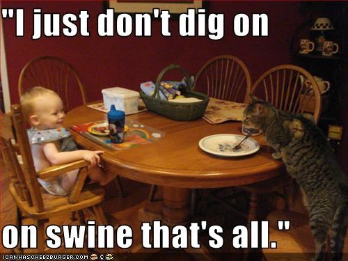 "I just don't dig on   on swine that's all."