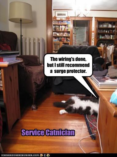 Service Catnician