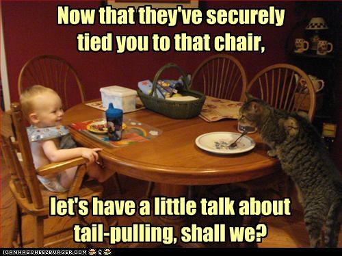 Now that they've securely 
tied you to that chair,