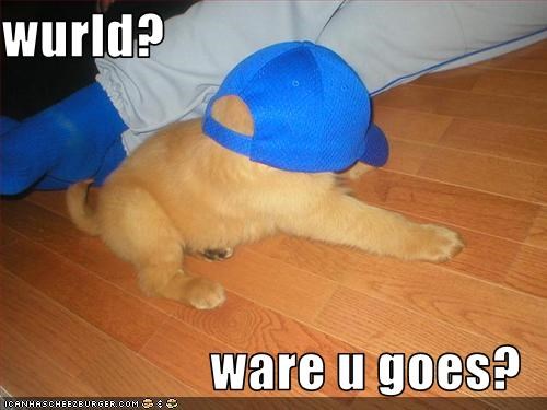 wurld?  ware u goes?