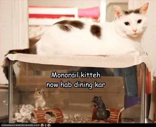 Monorail kitteh now hab dining kar