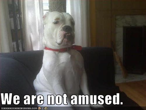 We are not amused.