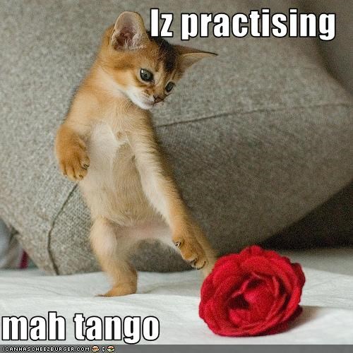 Iz practising  mah tango