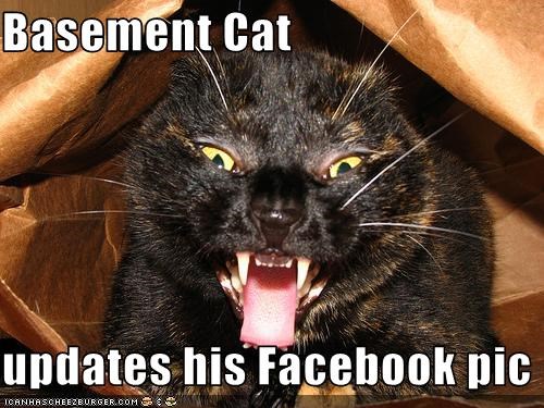 Basement Cat  updates his Facebook pic