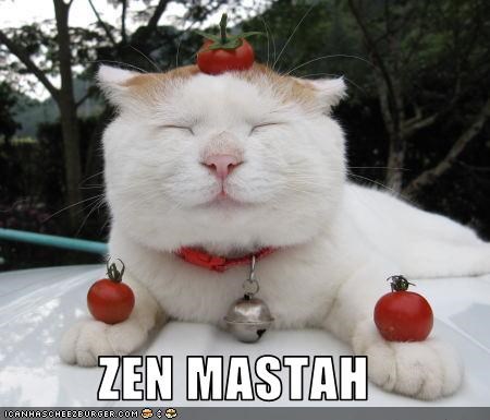 ZEN MASTAH