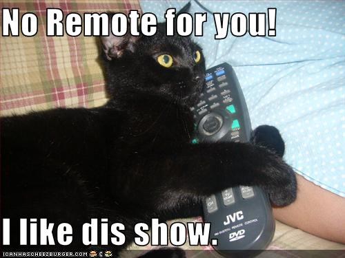 No Remote for you!  I like dis show.