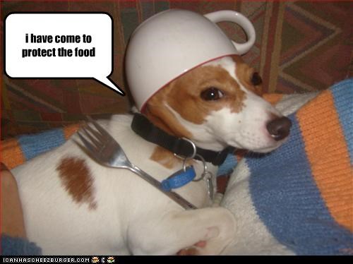 i have come to protect the food