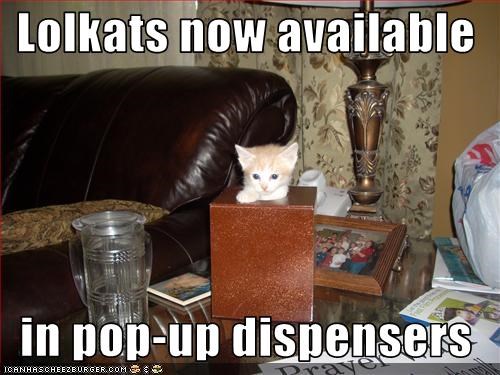 Lolkats now available    in pop-up dispensers