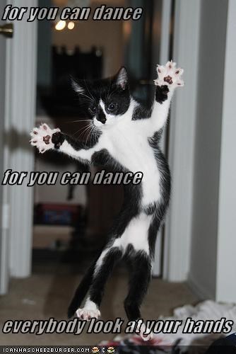 for you can dance for you can dance everybody look at your hands