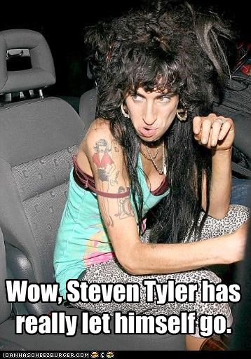Wow, Steven Tyler has really let himself go.