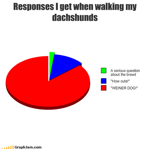 Responses I get when walking my dachshunds