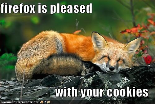 firefox is pleased   with your cookies