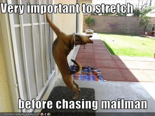 Very important to stretch  before chasing mailman