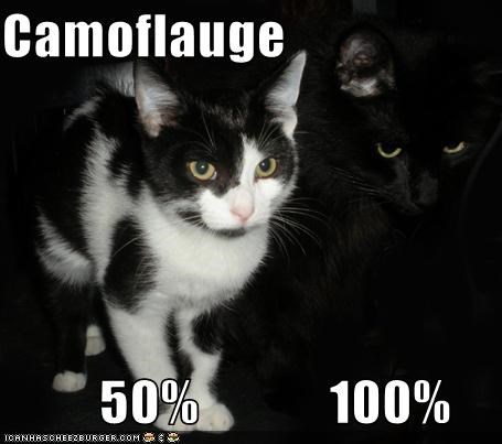 Camoflauge           50%            100%