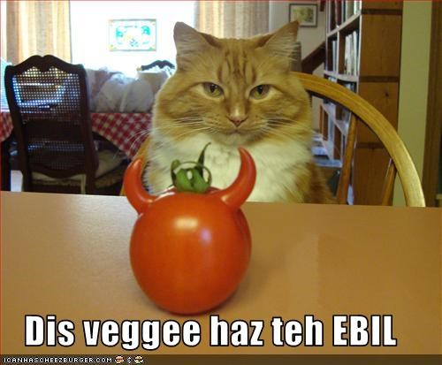 Dis veggee haz teh EBIL