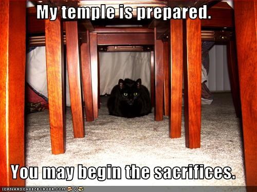 My temple is prepared.  You may begin the sacrifices.