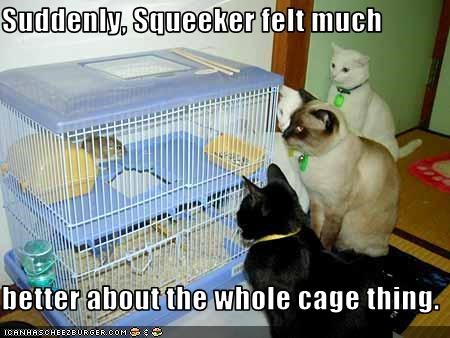 Suddenly, Squeeker felt much  better about the whole cage thing.