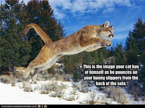 This is the image your cat has of himself as he pounces on your bunny slippers from the back of the sofa.