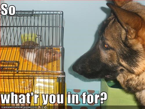 So  what'r you in for?