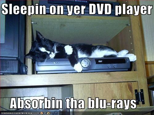 Sleepin on yer DVD player  Absorbin tha blu-rays