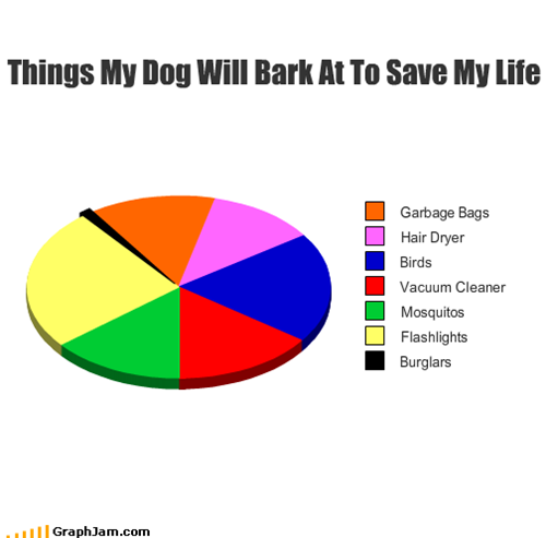 Things My Dog Will Bark At To Save My Life